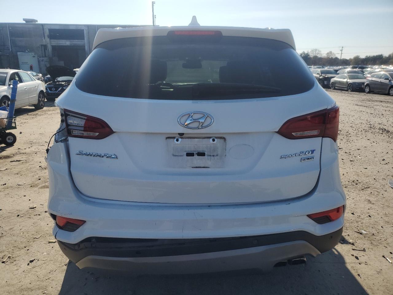 2017 Hyundai Santa Fe Sport VIN: 5XYZW4LA3HG498038 Lot: 80464714