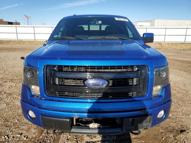  FORD F-150 2013 Blue