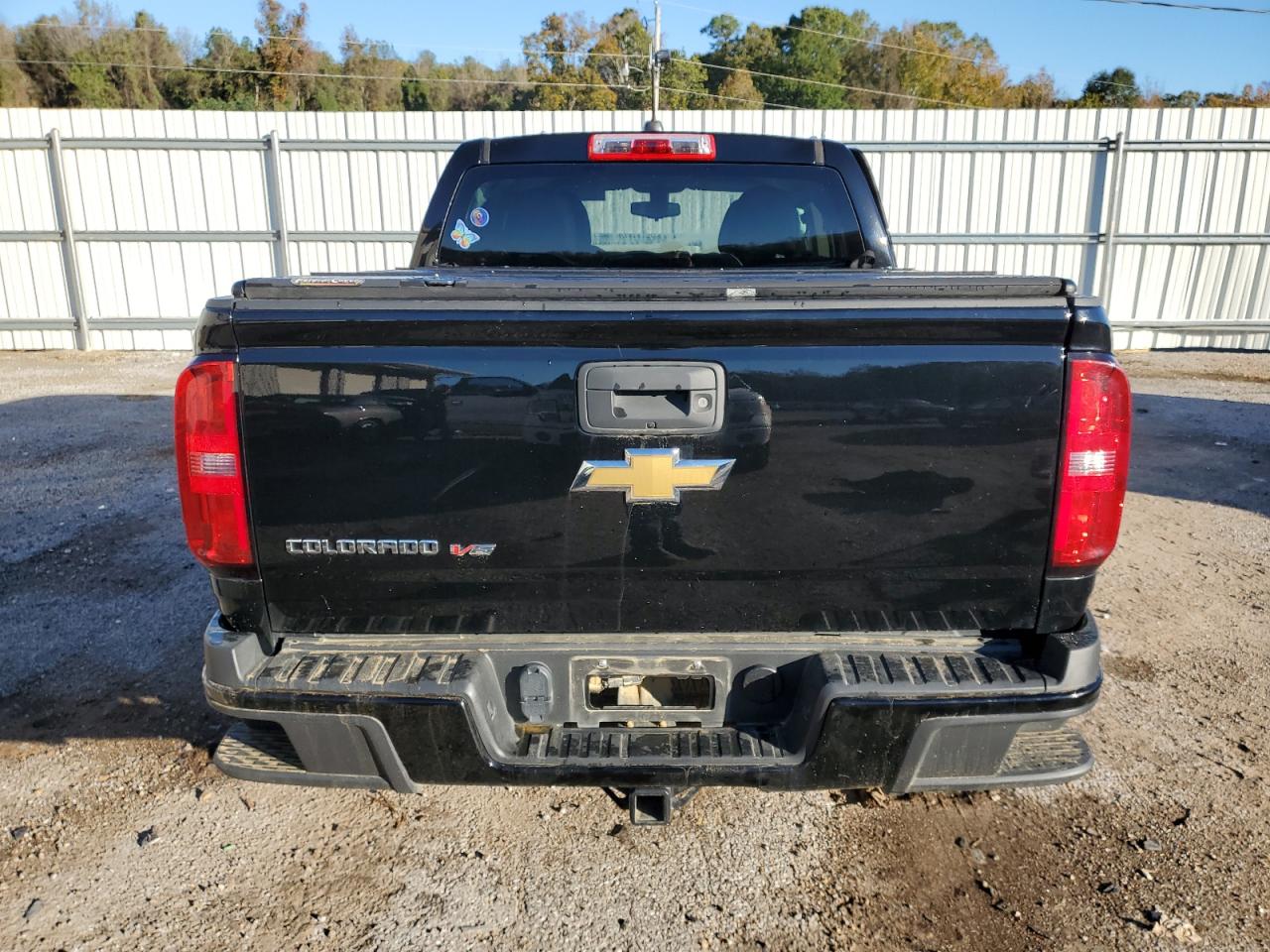 2019 Chevrolet Colorado VIN: 1GCGTBEN6K1316098 Lot: 80322504