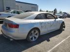 2008 Audi S5 Quattro للبيع في Rancho Cucamonga، CA - Vandalism