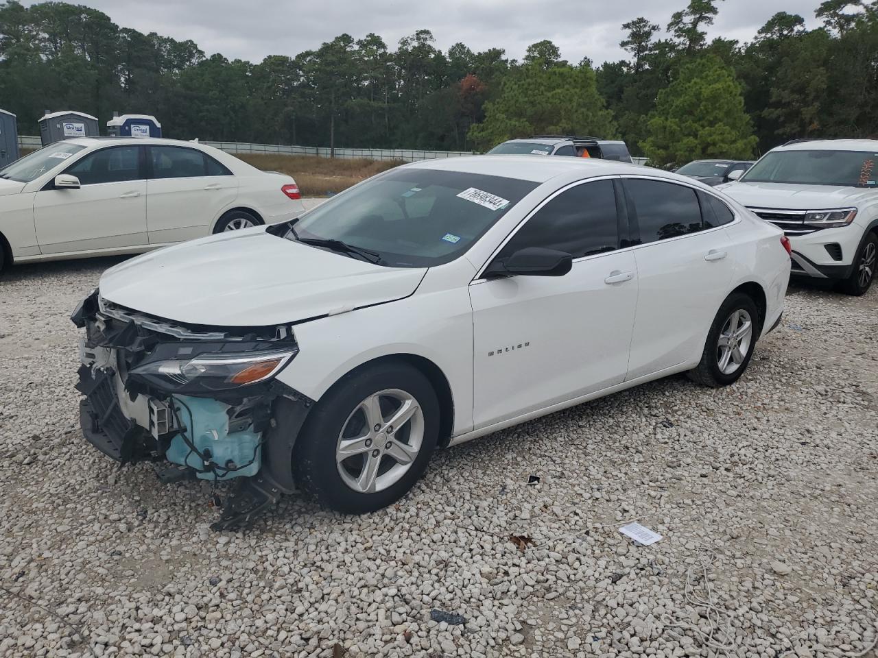 2019 Chevrolet Malibu - Image 1