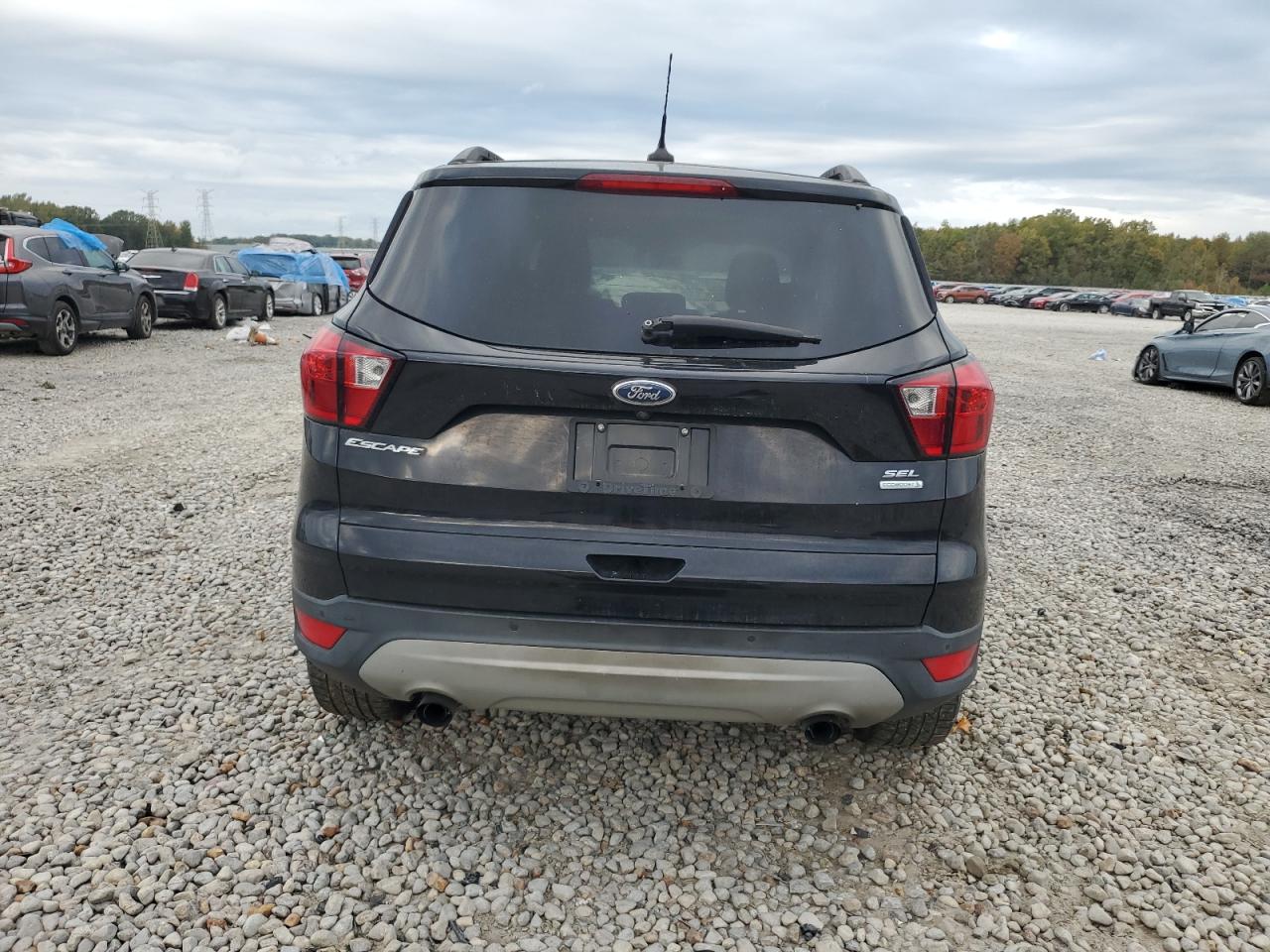 2019 Ford Escape Sel VIN: 1FMCU0HD2KUA65724 Lot: 79472914