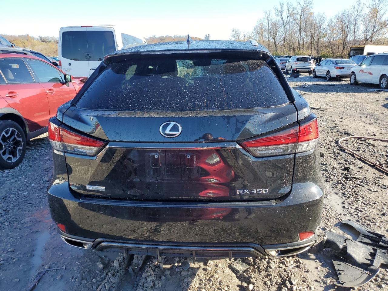 2020 Lexus RX - Image 6