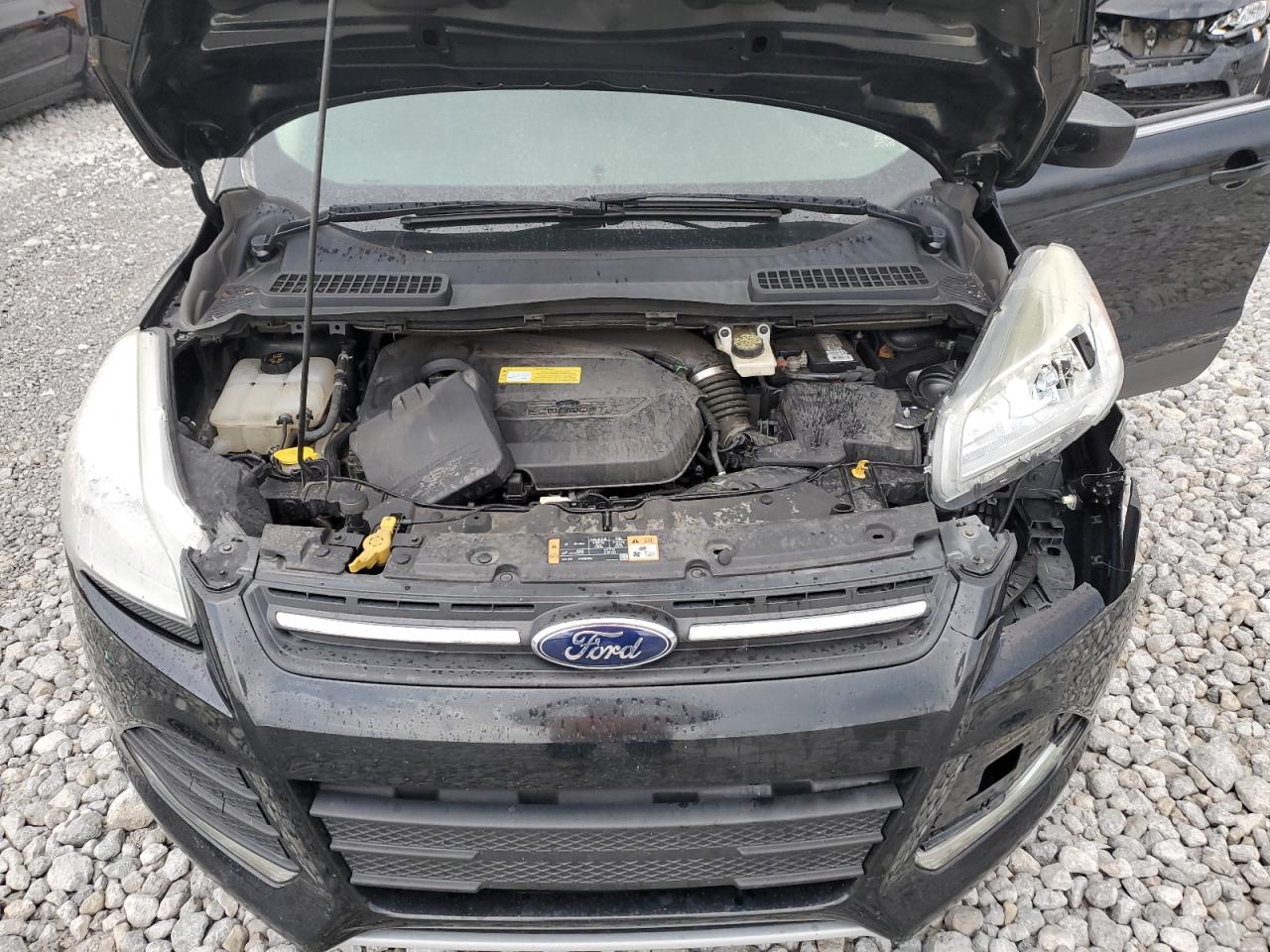 2014 Ford Escape Se VIN: 1FMCU0GX6EUB57970 Lot: 81380024