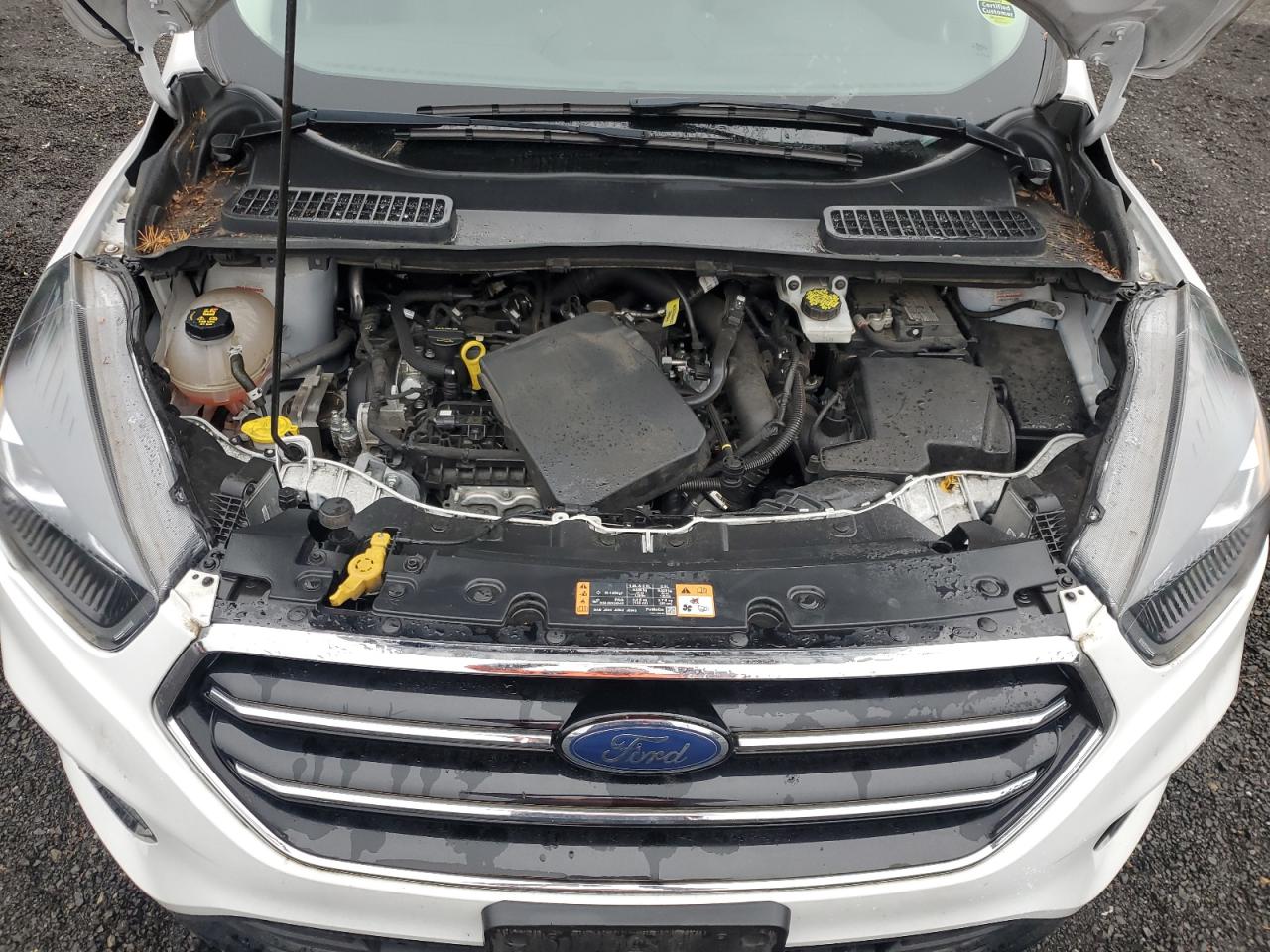 2019 Ford Escape Se VIN: 1FMCU9GD4KUB79939 Lot: 79064974