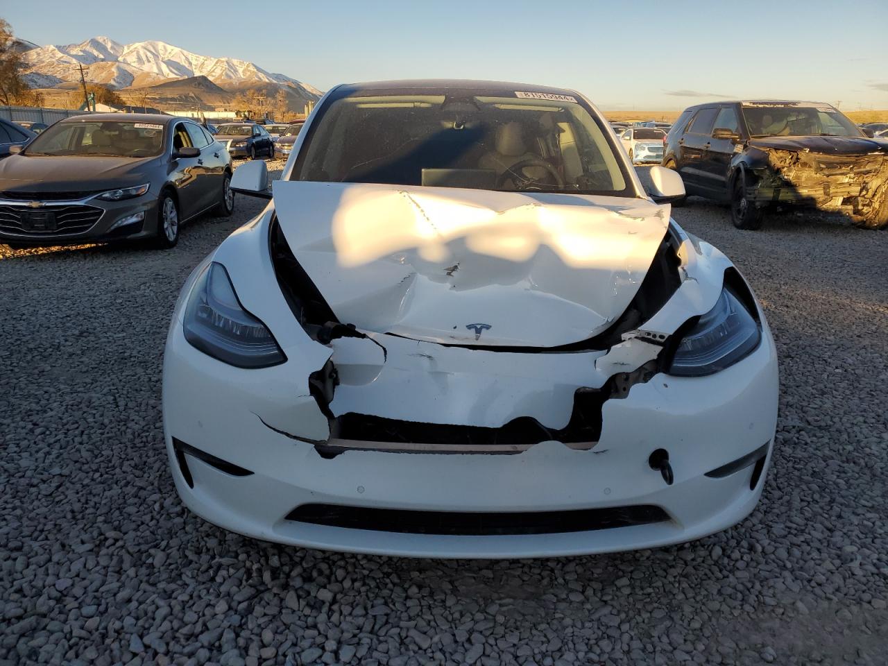 VIN 5YJYGDEF6MF091852 2021 TESLA MODEL Y no.5