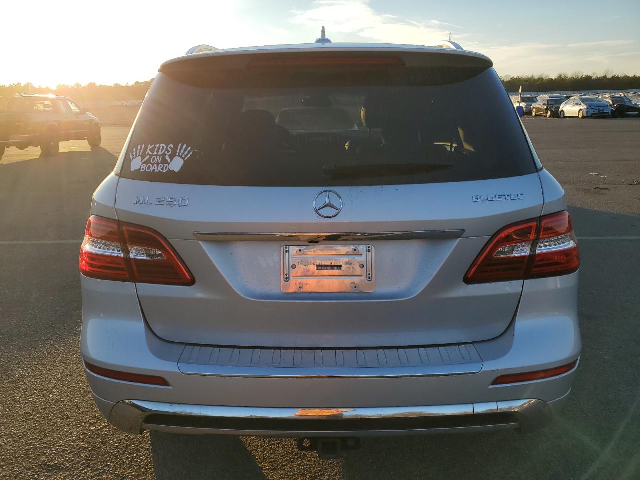 2015 Mercedes-Benz Ml 250 Bluetec VIN: 4JGDA0EB1FA486499 Lot: 81174924