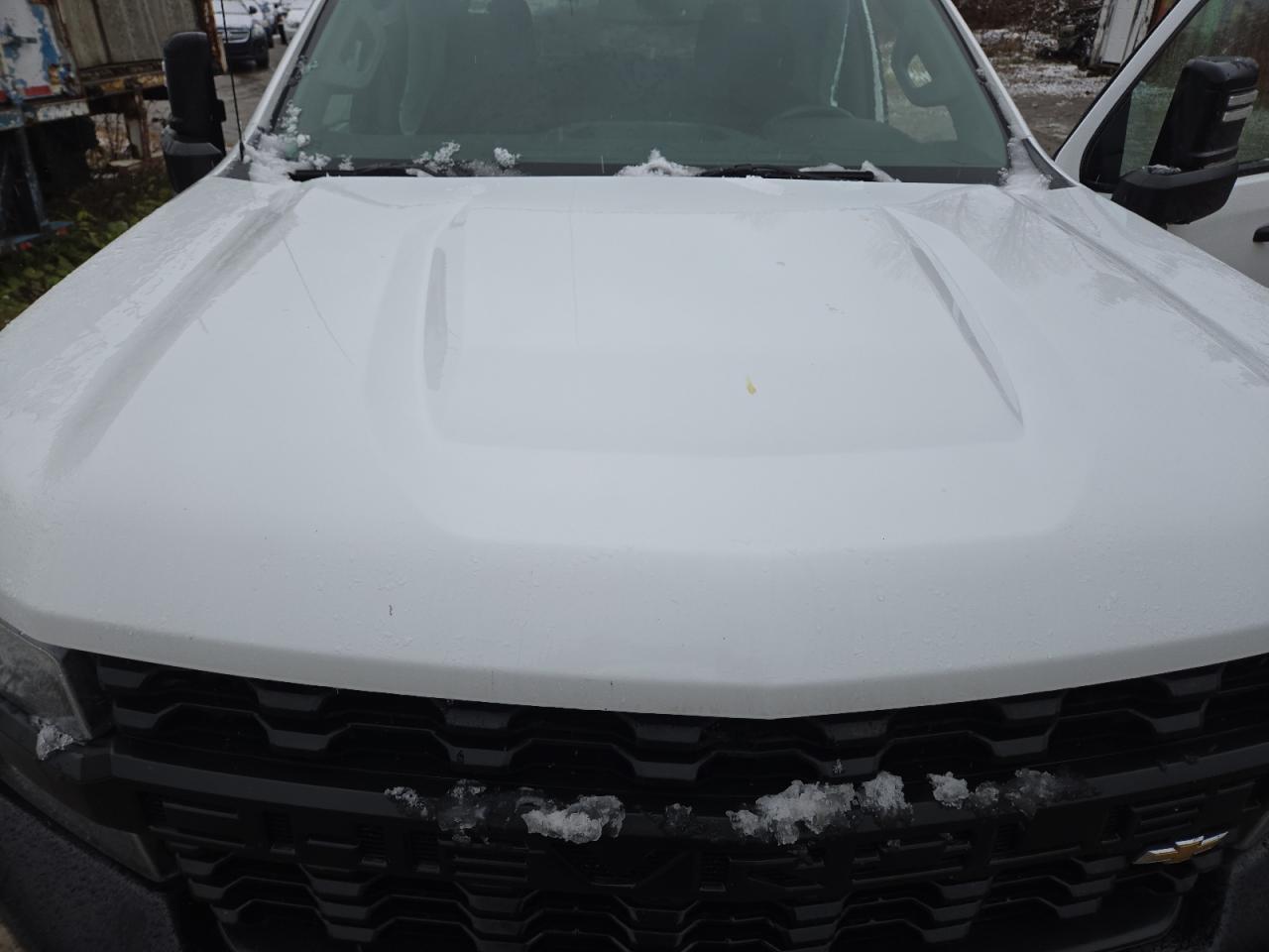 2020 Chevrolet Silverado K1500 VIN: 1GCUYAEFXLZ144989 Lot: 79499894