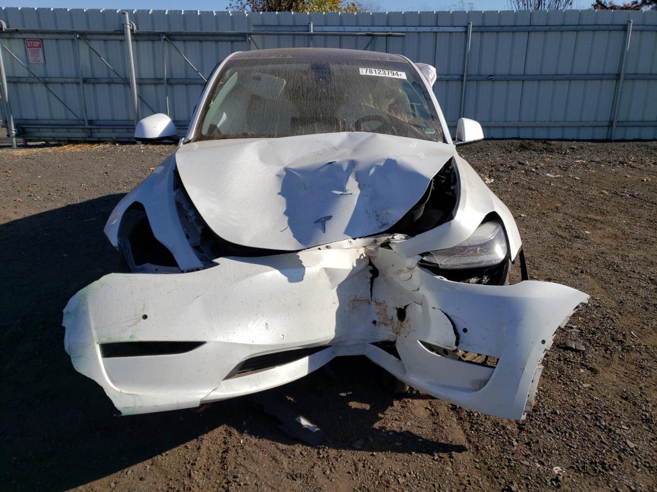 VIN 5YJYGDEE9MF085146 2021 TESLA MODEL Y no.5