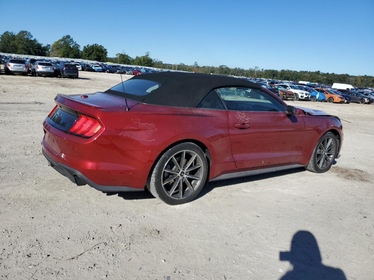 2019 Ford Mustang - Image 3