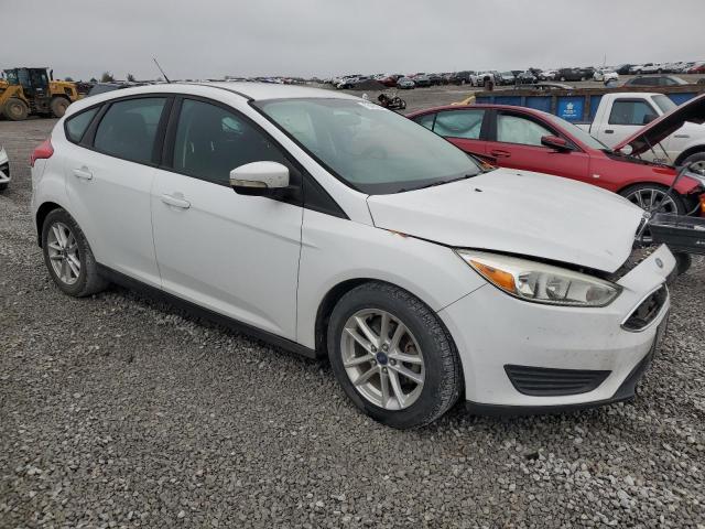 Hatchbacks FORD FOCUS 2015 White