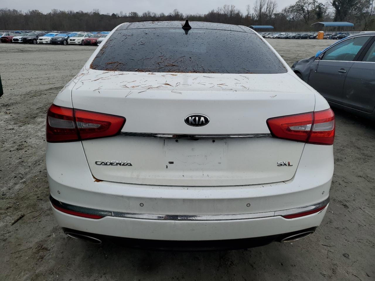 2015 Kia Cadenza Premium VIN: KNALN4D76F5191039 Lot: 80936574