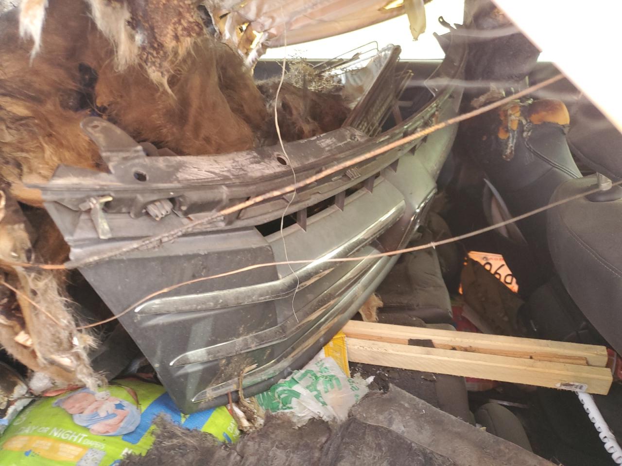 2012 Honda Crosstour Exl VIN: 5J6TF1H53CL001237 Lot: 79319404