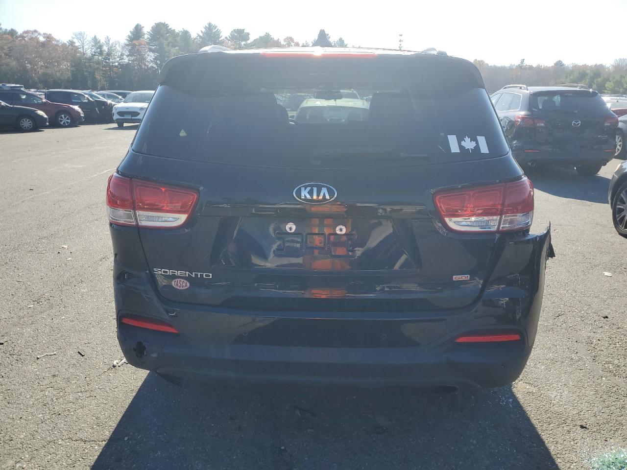 VIN 5XYPGDA35JG430094 2018 KIA SORENTO no.6