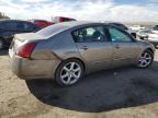 2004 Nissan Maxima Se იყიდება Albuquerque-ში, NM - Rear End