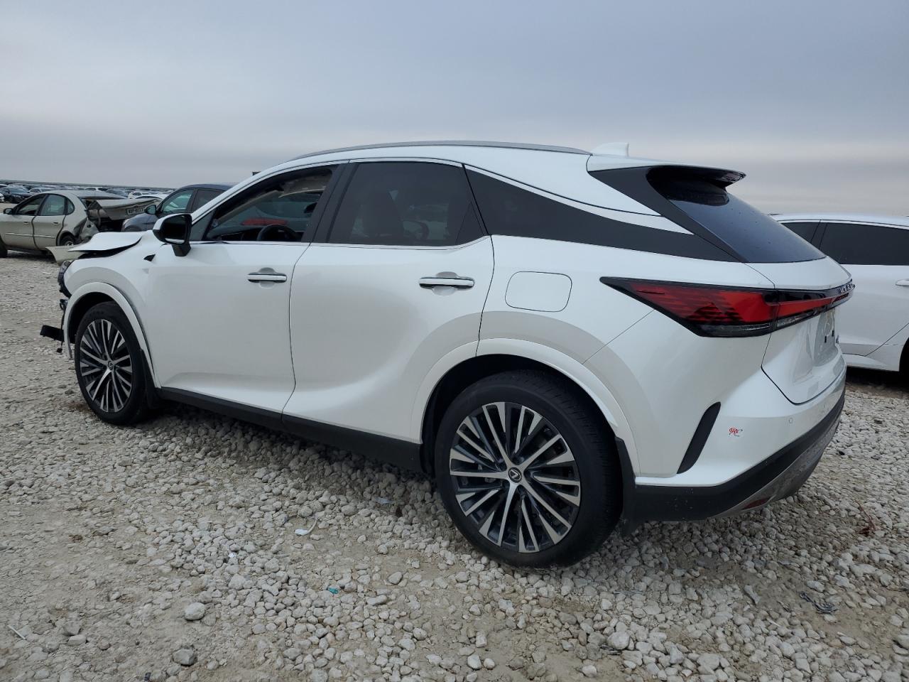 2024 Lexus RX - Image 2