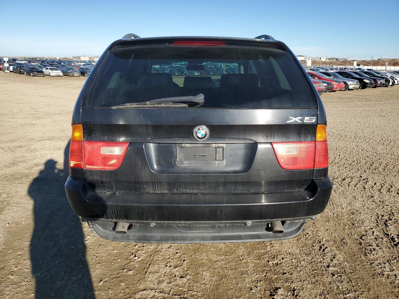 2002 BMW X5 3.0I VIN: 5UXFA53502LP28199 Lot: 79718504