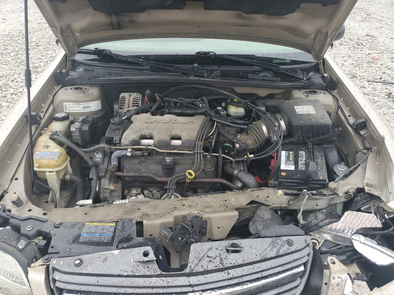 1G1ND52J53M665396 2003 Chevrolet Malibu