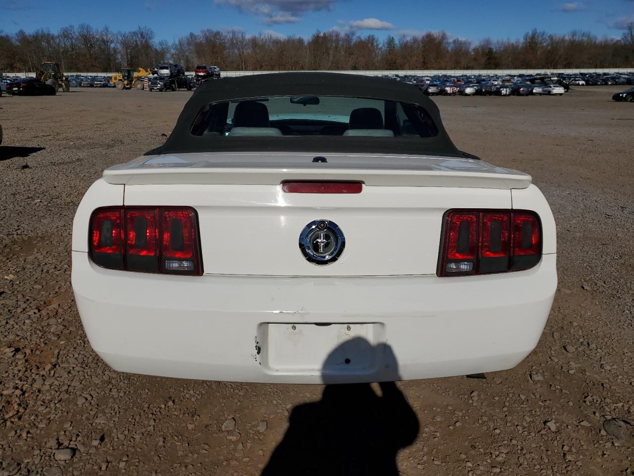 2008 Ford Mustang VIN: 1ZVHT84N885206922 Lot: 80555634