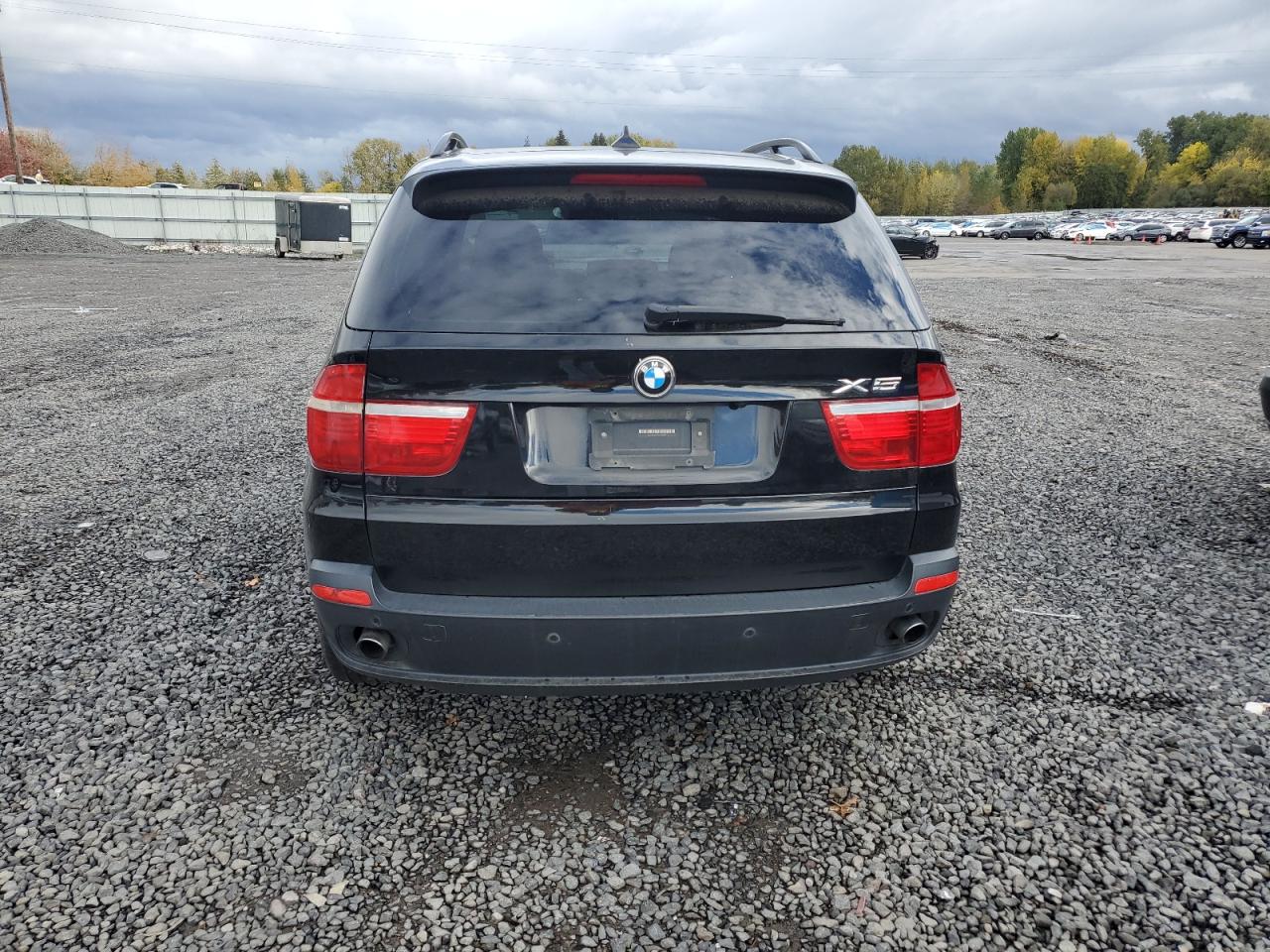 2009 BMW X5 xDrive30I VIN: 5UXFE43549L260597 Lot: 79127164