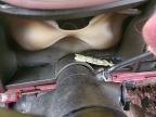 1990 Chevrolet Gmt-400 C2500 იყიდება Portland-ში, MI - Burn