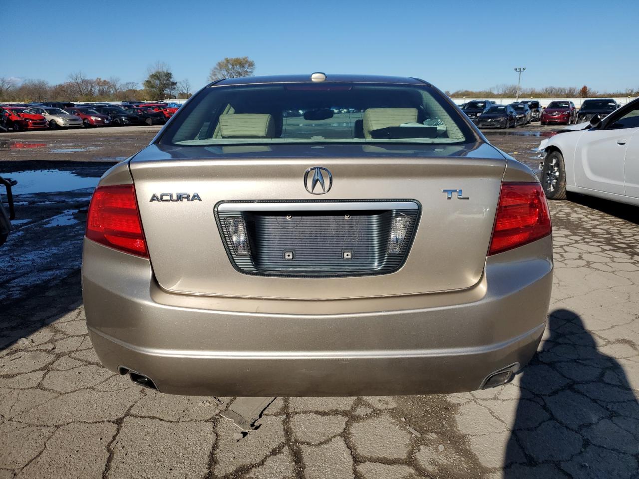 2004 Acura Tl VIN: 19UUA66274A027773 Lot: 81336674