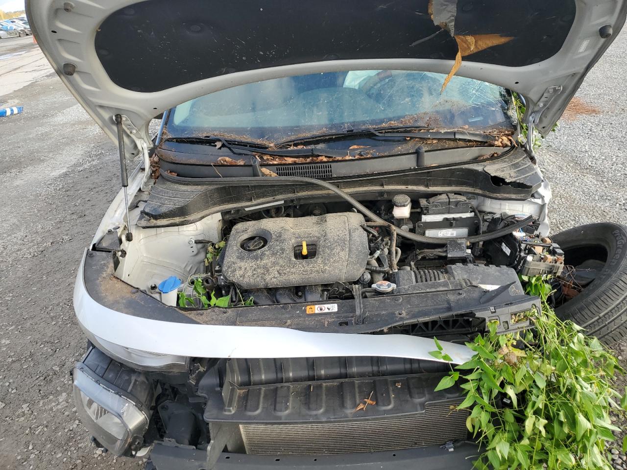 2021 Kia Soul Lx VIN: KNDJ23AU7M7793957 Lot: 79560224