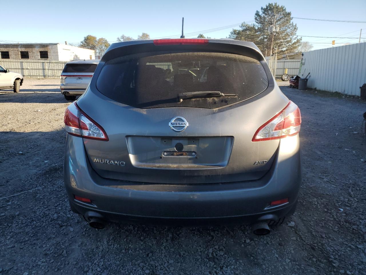 2013 Nissan Murano S VIN: JN8AZ1MW7DW318333 Lot: 78894434