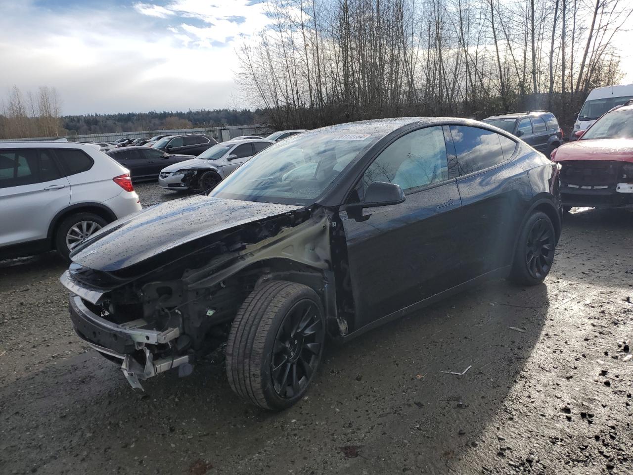 VIN 7SAYGDEE3PF912209 2023 TESLA MODEL Y no.1