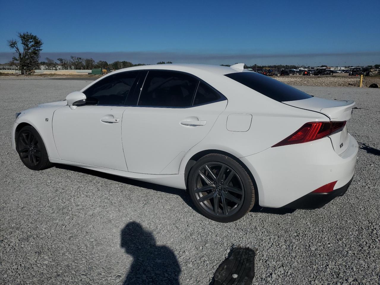 2020 Lexus IS - Image 2