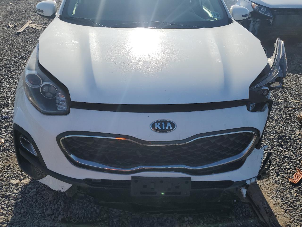 2020 Kia Sportage Lx VIN: KNDPMCAC8L7691917 Lot: 81125754