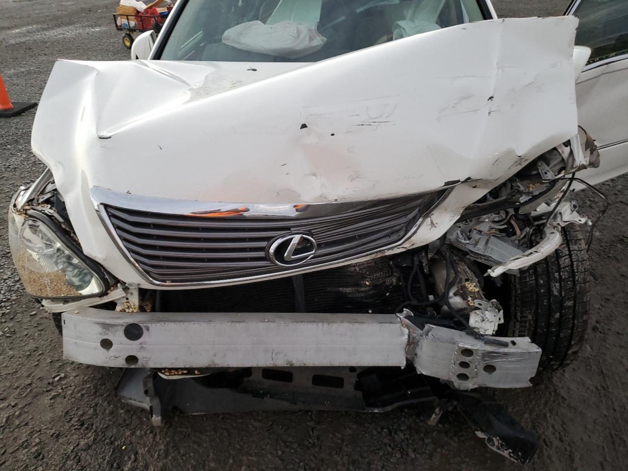 2006 Lexus Ls 430 VIN: JTHBN36F865040442 Lot: 84806794