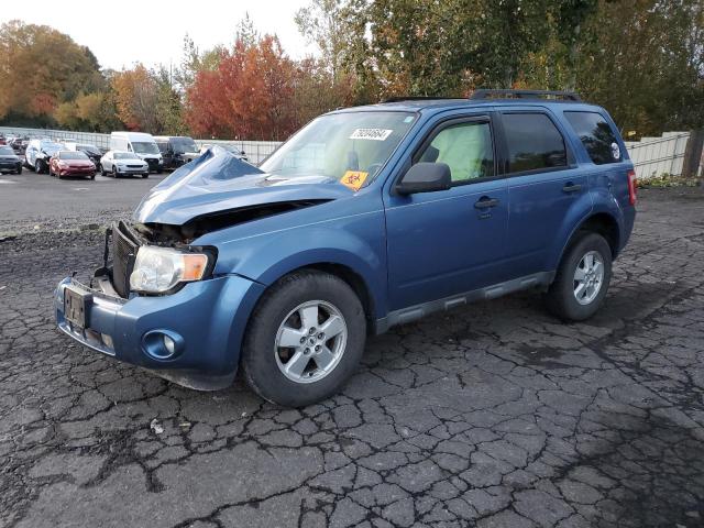 2009 Ford Escape Xlt