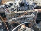 2016 Tesla Model S  zu verkaufen in Mentone, CA - Burn