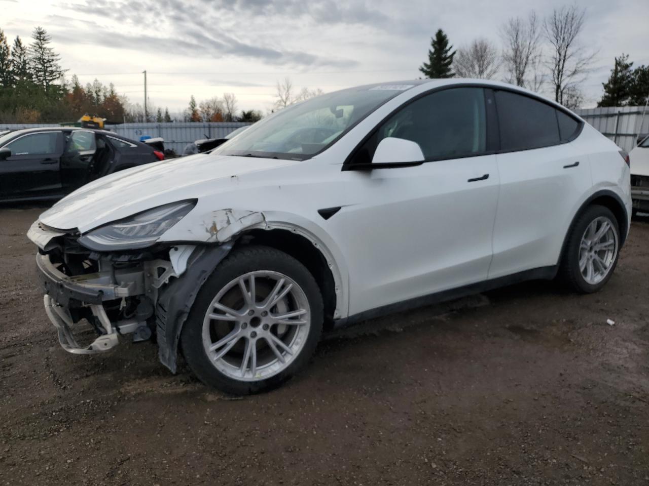 2021 Tesla Model Y VIN: 5YJYGDED3MF119332 Lot: 79127424