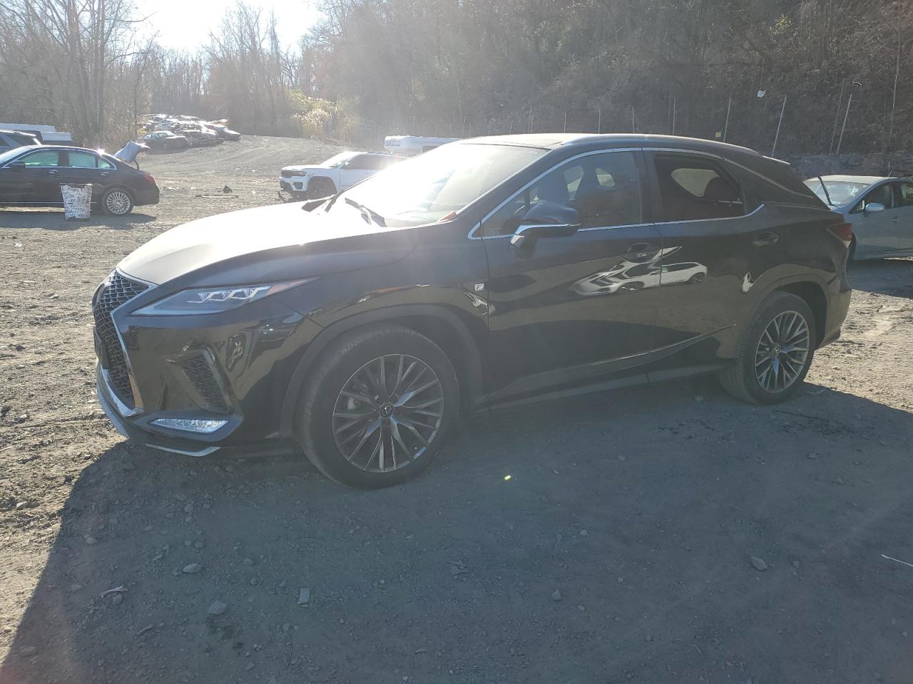 2020 Lexus RX - Image 1