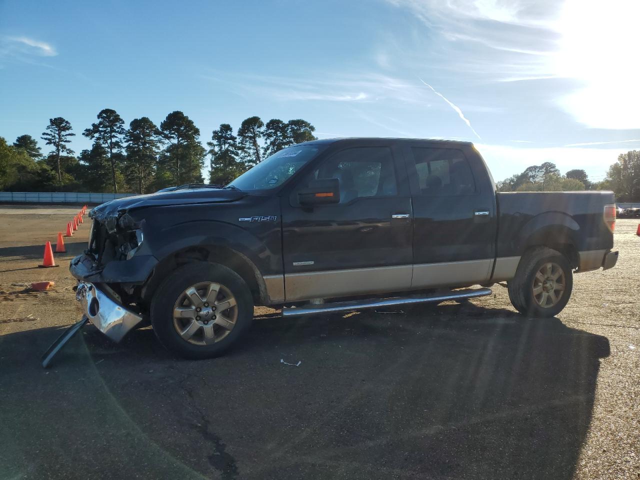 2014 Ford F-150 - Image 1