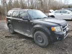 2008 Ford Escape Limited zu verkaufen in Cookstown, ON - Normal Wear