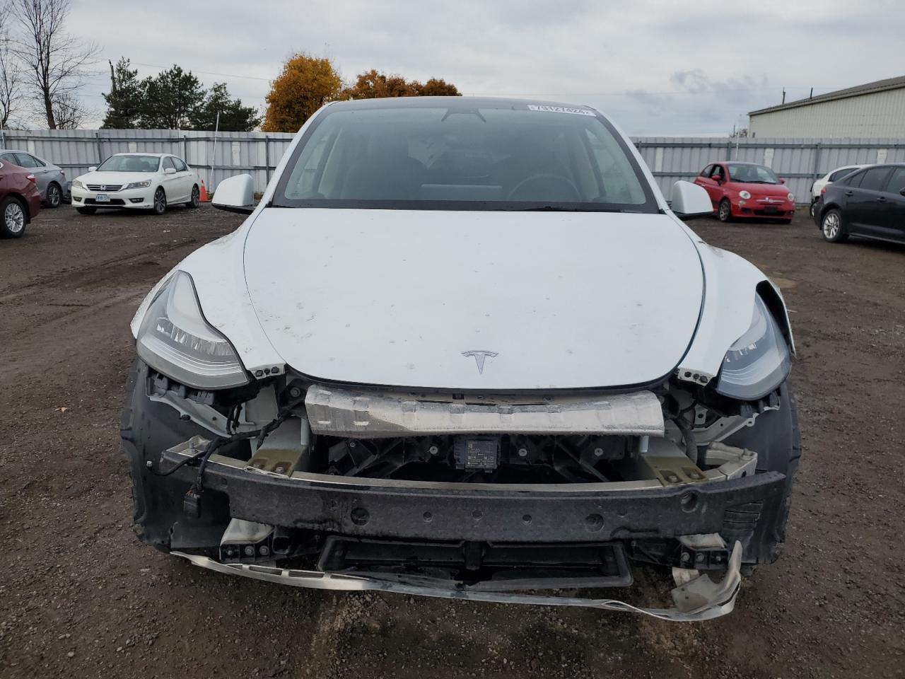 2021 Tesla Model Y VIN: 5YJYGDED3MF119332 Lot: 79127424