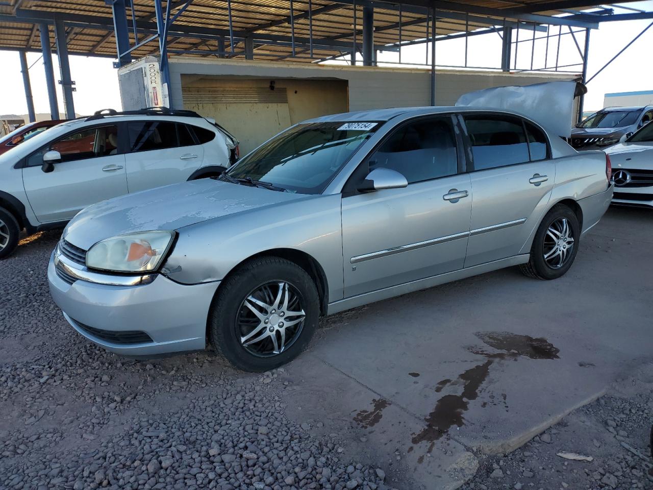 2006 Chevrolet Malibu Lt VIN: 1G1ZT51846F216528 Lot: 79075154