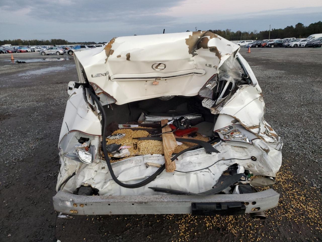 2006 Lexus Ls 430 VIN: JTHBN36F865040442 Lot: 84806794