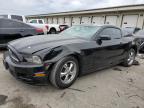 2013 Ford Mustang  for Sale in Louisville, KY - Front End