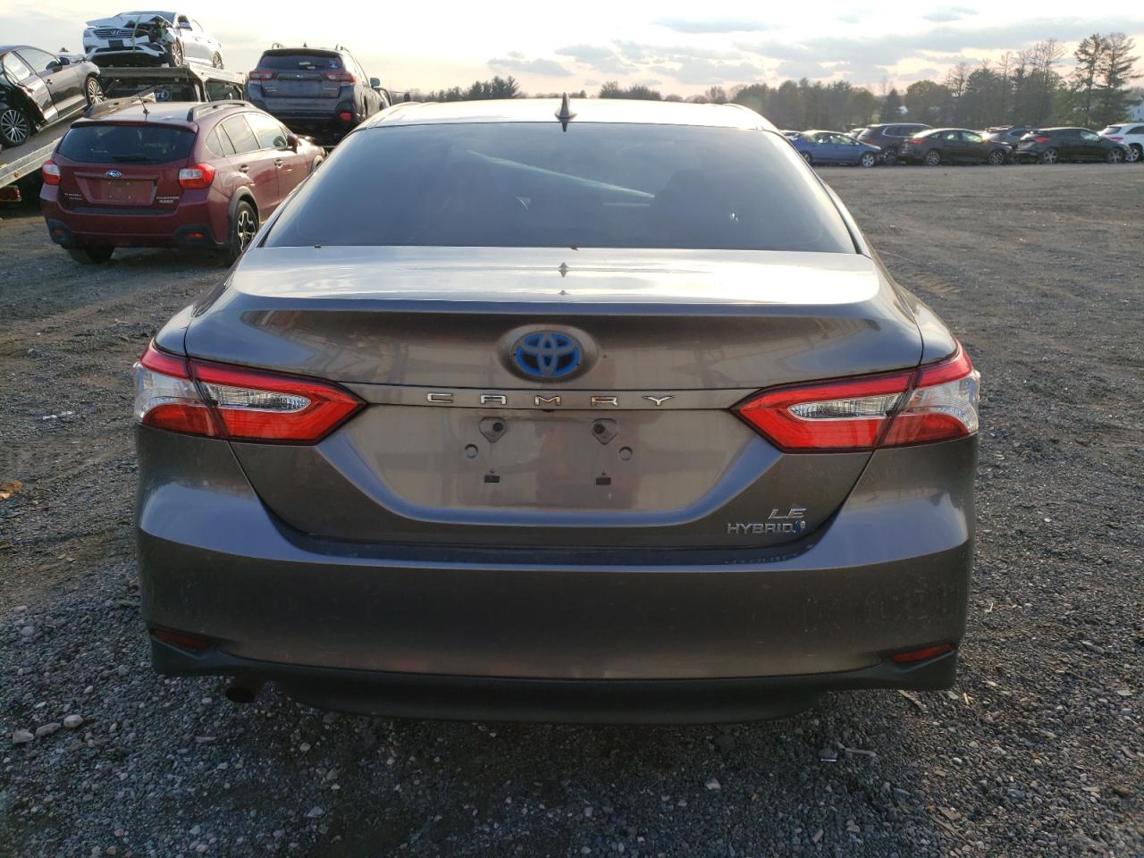 2019 Toyota Camry Le VIN: 4T1B31HK2KU512653 Lot: 81277454