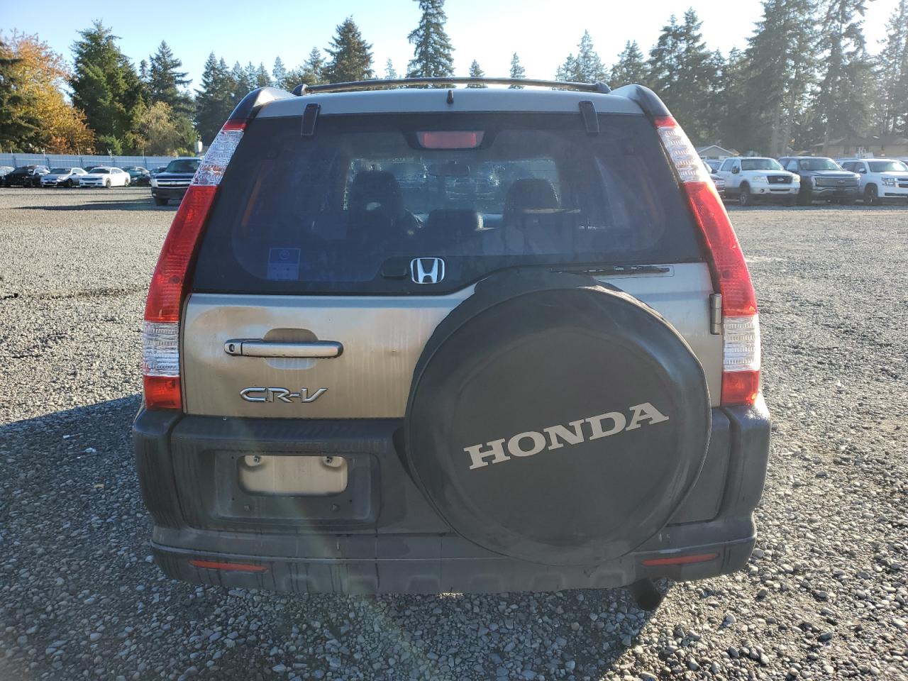 2006 Honda Cr-V Lx VIN: JHLRD68536C009834 Lot: 78920544