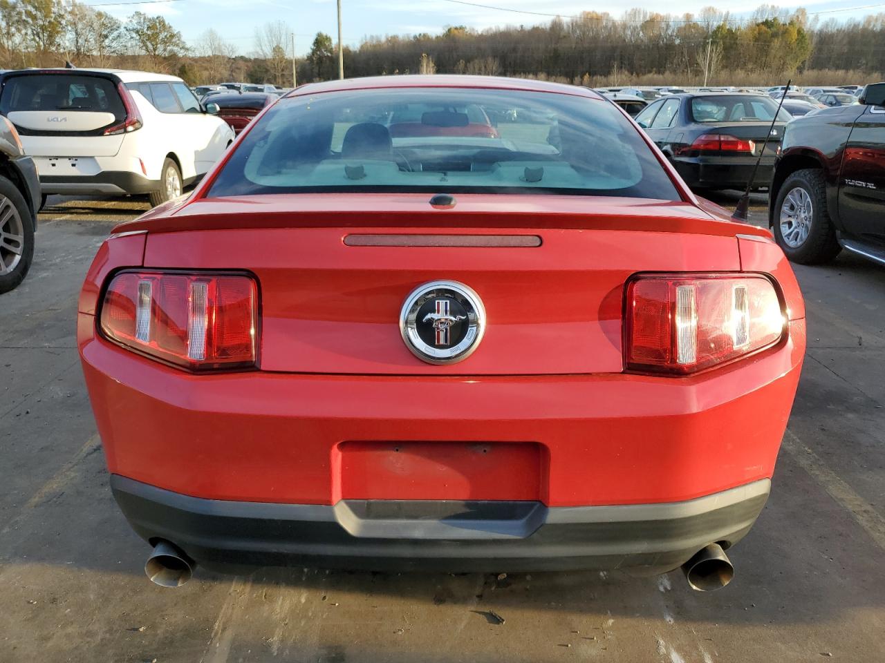 2010 Ford Mustang VIN: 1ZVBP8AN1A5125894 Lot: 78773654