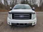 2010 Ford F150 Supercrew للبيع في Cookstown، ON - Normal Wear