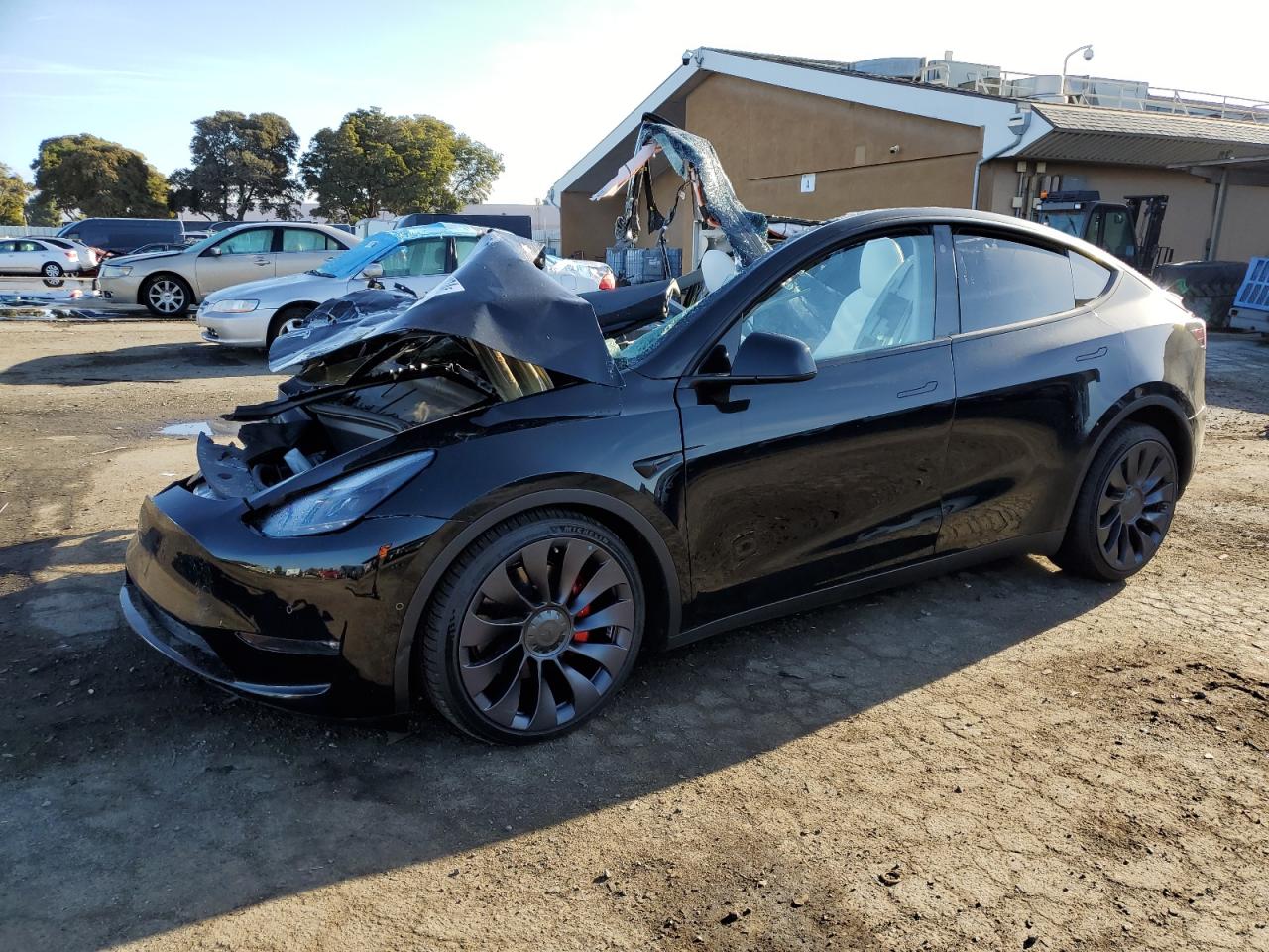 2021 Tesla Model Y на продаже в Hayward, CA - All Over