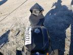 2023 YAMAHA YZFR7  for sale at Copart MA - NORTH BOSTON