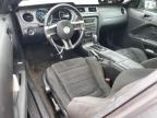 2013 Ford Mustang  for Sale in Louisville, KY - Front End