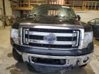 2014 Ford F150 Supercrew en Venta en Sikeston, MO - All Over